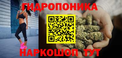 СК Кимры